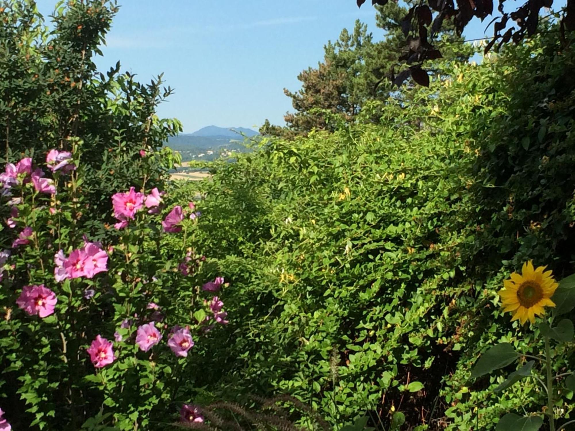 La Villa Victoria Auvergne Cournon-d'Auvergne Exteriör bild