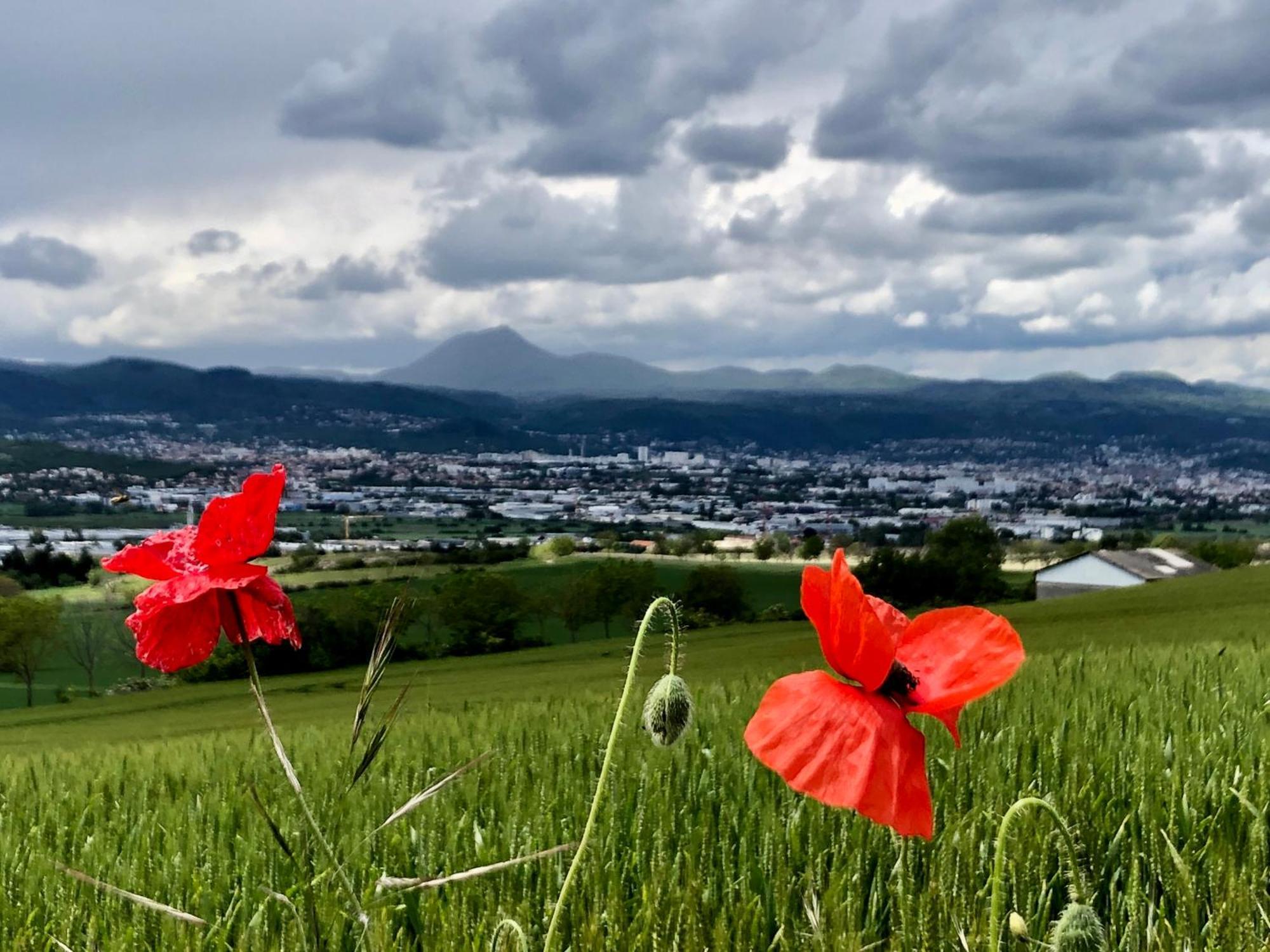 La Villa Victoria Auvergne Cournon-d'Auvergne Exteriör bild